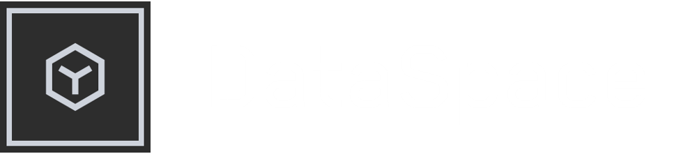 DataSpace Logo